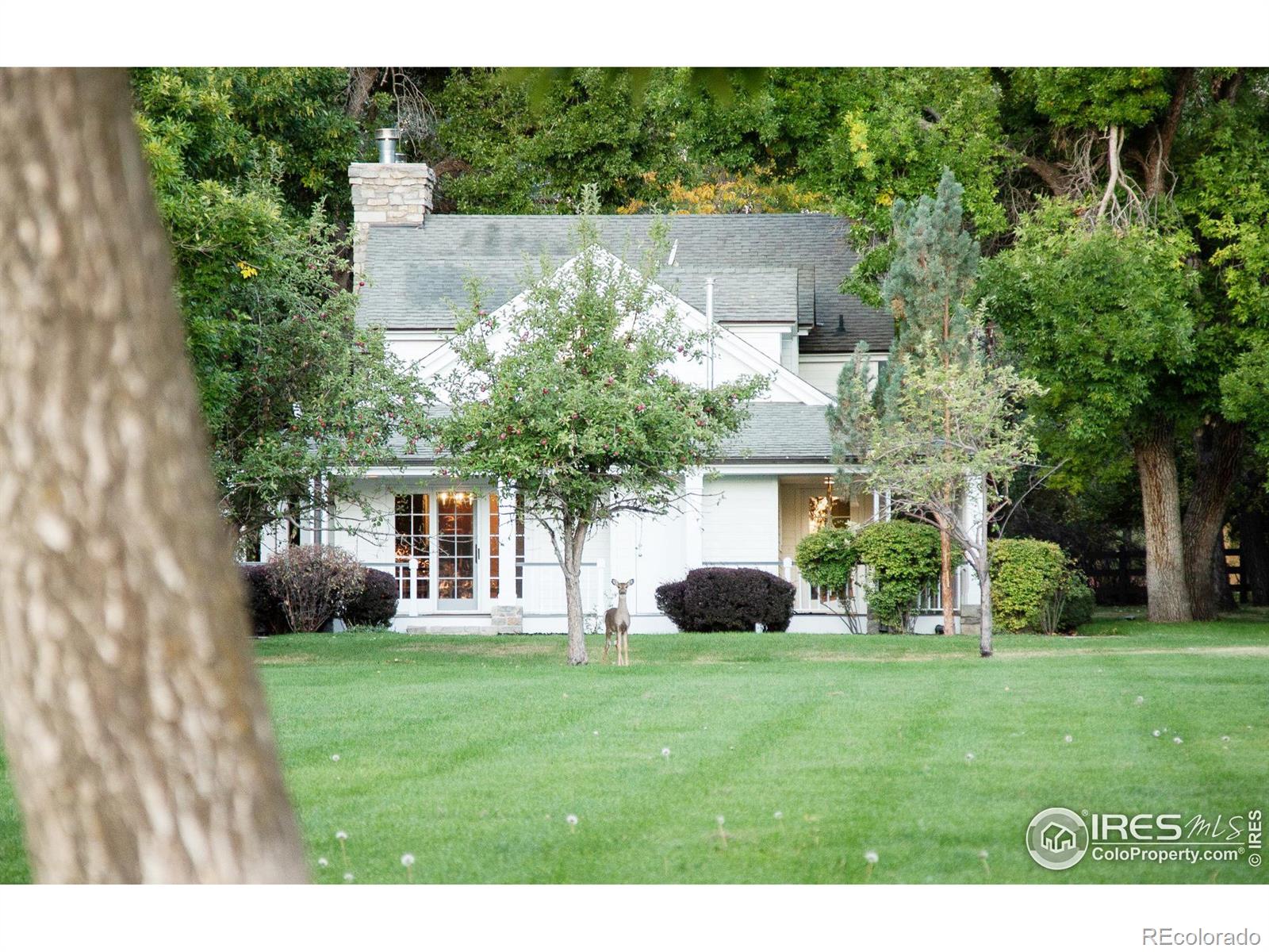 7484 N 49th Street Longmont CO 80503