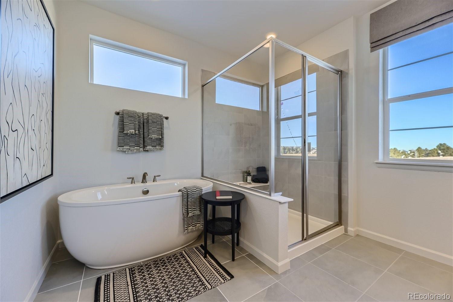 13960 Hanging Lake Street Parker CO 80138