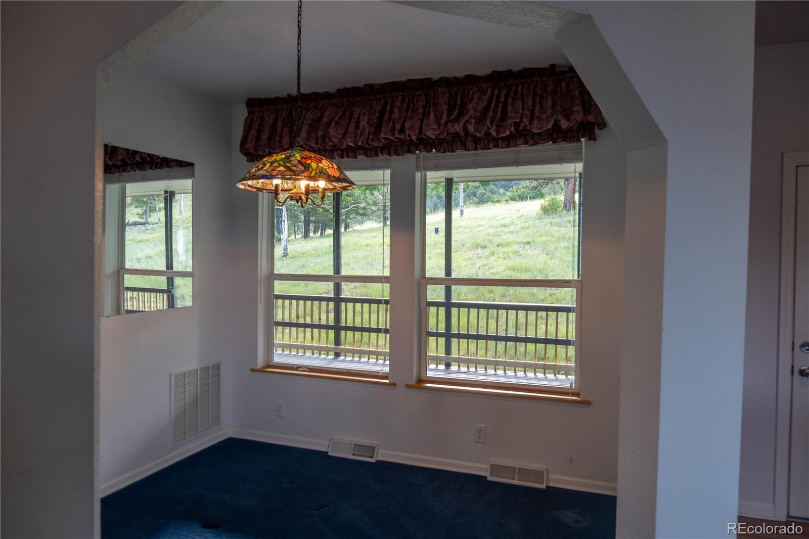 950 Junkins Loop Westcliffe CO 81252