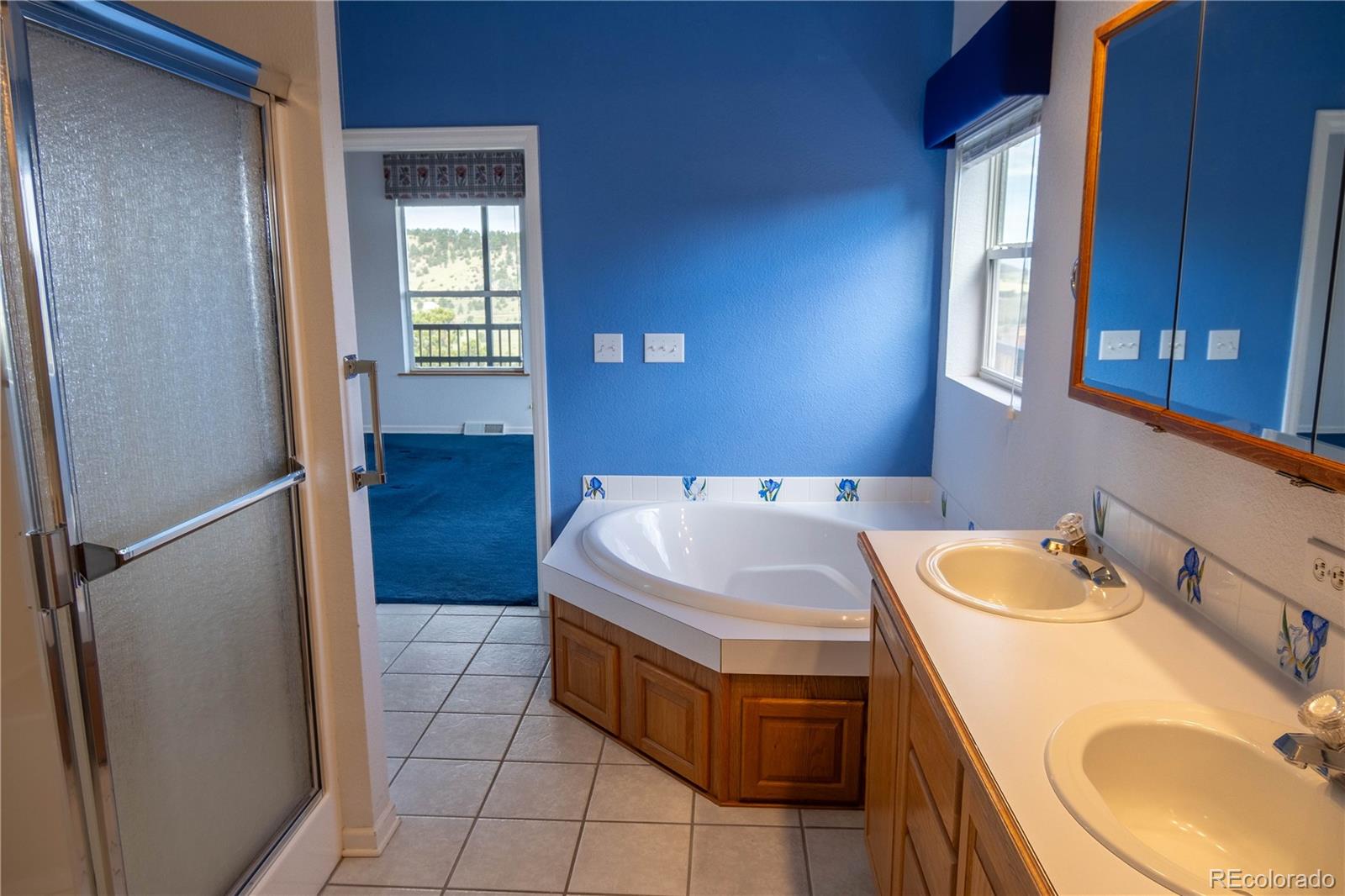 950 Junkins Loop Westcliffe CO 81252