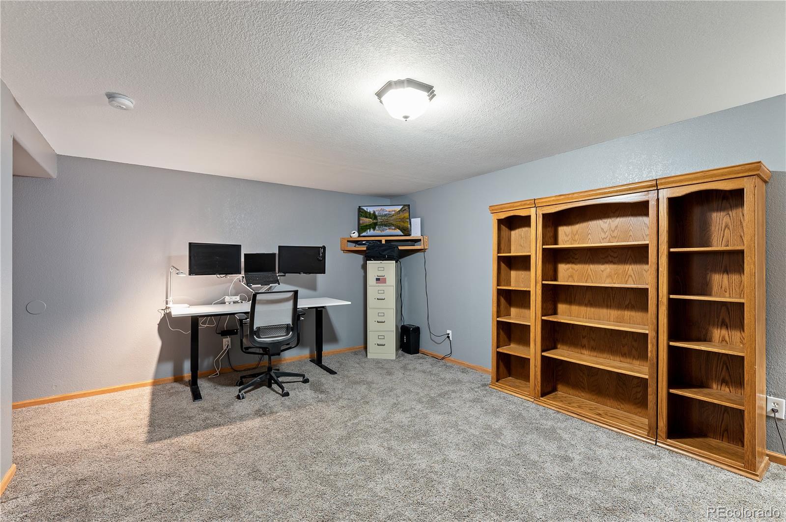 507 Van Egmond Drive Penrose CO 81240