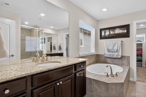 2656 Leafdale Circle Castle Rock CO 80109