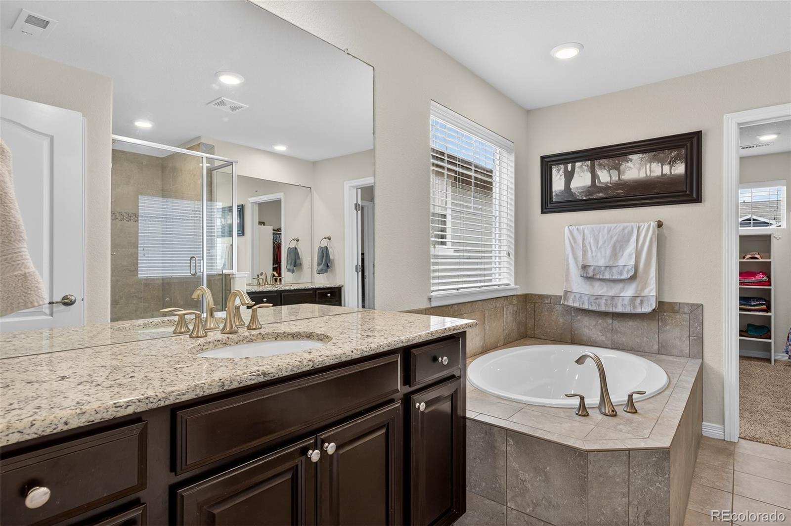 2656 Leafdale Circle Castle Rock CO 80109
