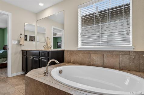 2656 Leafdale Circle Castle Rock CO 80109
