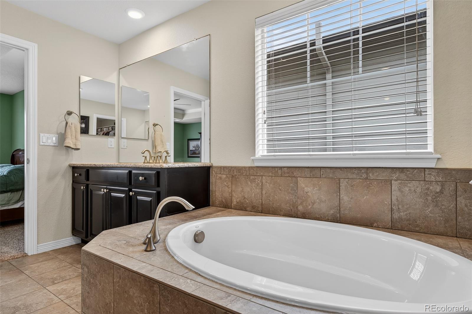 2656 Leafdale Circle Castle Rock CO 80109