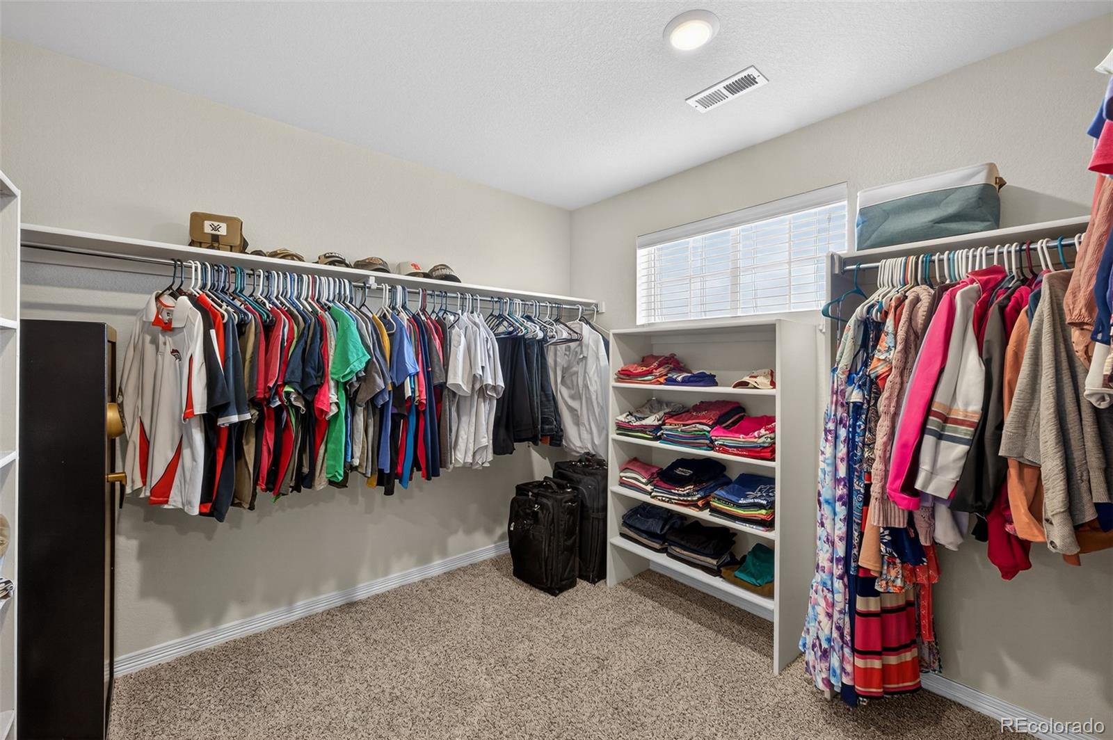 2656 Leafdale Circle Castle Rock CO 80109