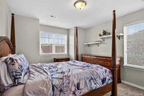 2656 Leafdale Circle Castle Rock CO 80109