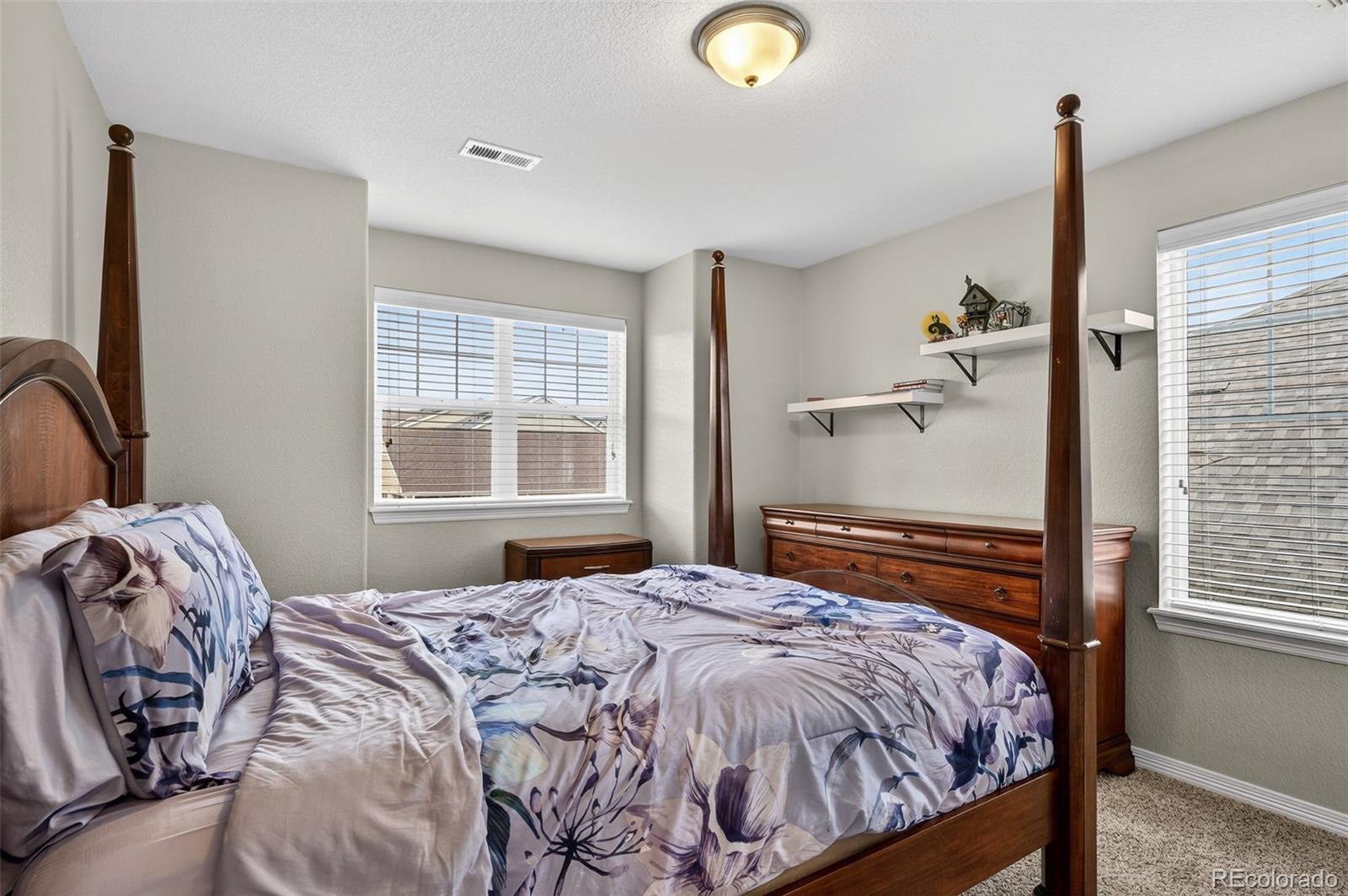 2656 Leafdale Circle Castle Rock CO 80109