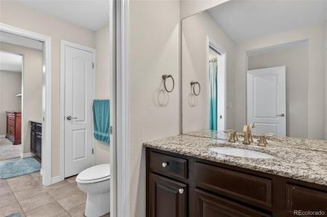 2656 Leafdale Circle Castle Rock CO 80109