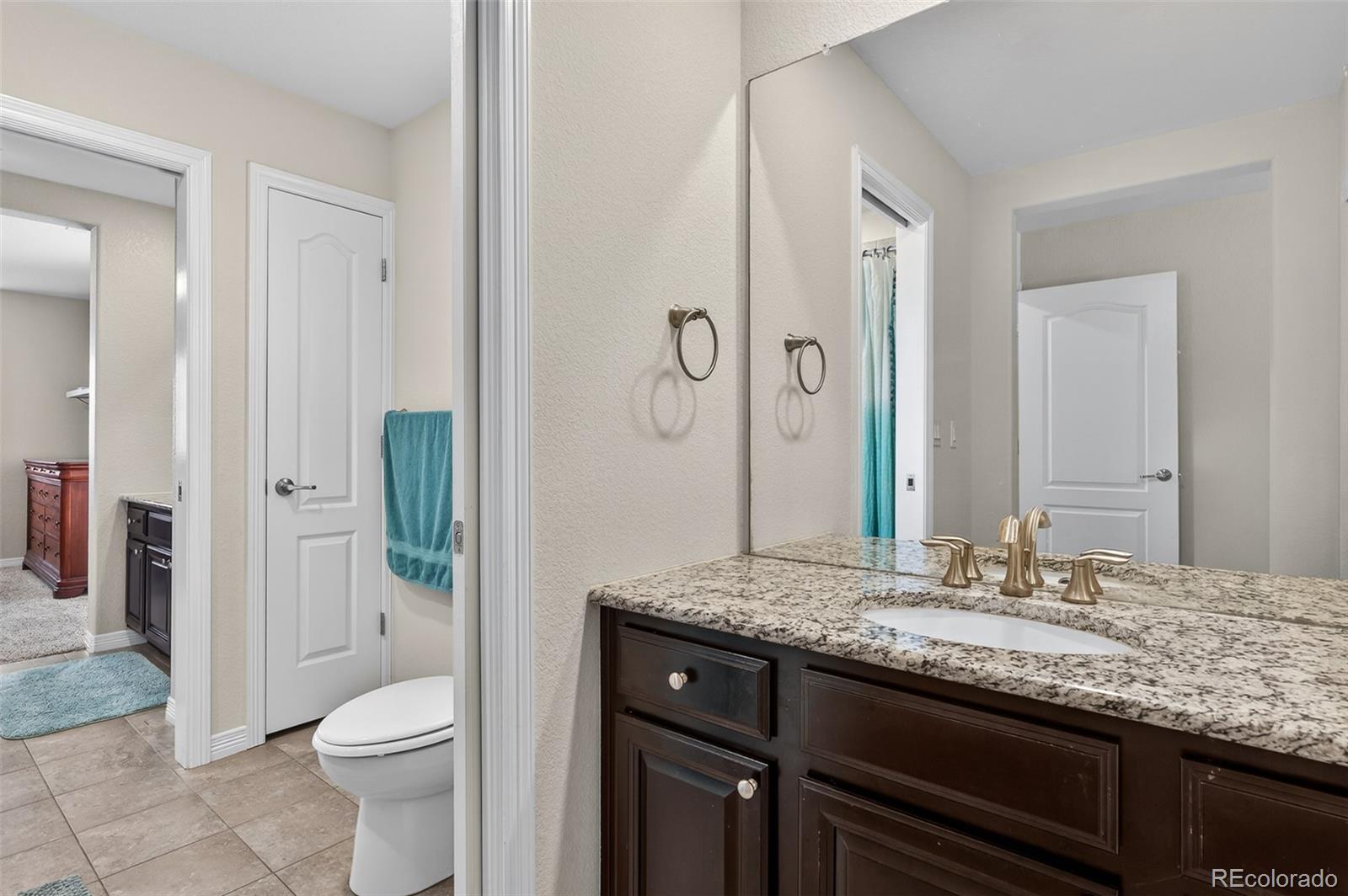 2656 Leafdale Circle Castle Rock CO 80109