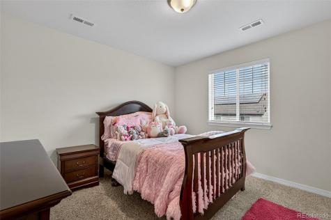 2656 Leafdale Circle Castle Rock CO 80109