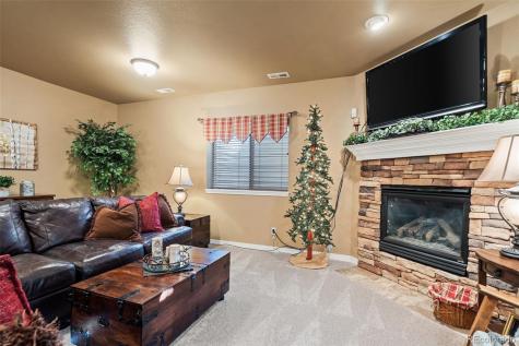 208 Green Rock Place Monument CO 80132