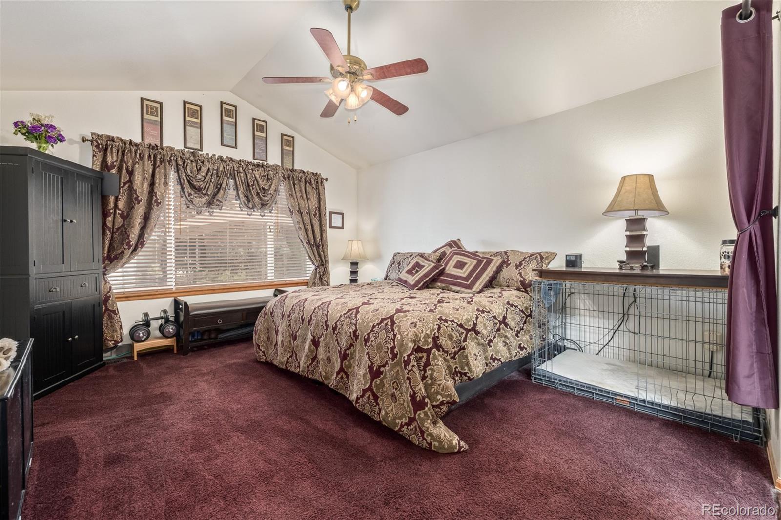 8463 Bed Straw Street Parker CO 80134