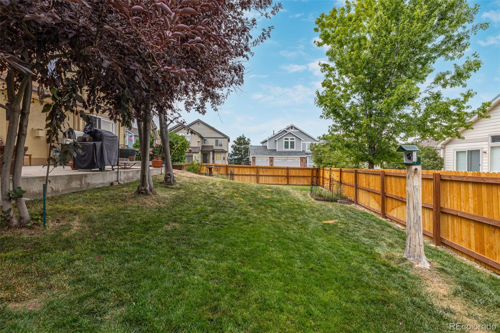 8463 Bed Straw Street Parker CO 80134