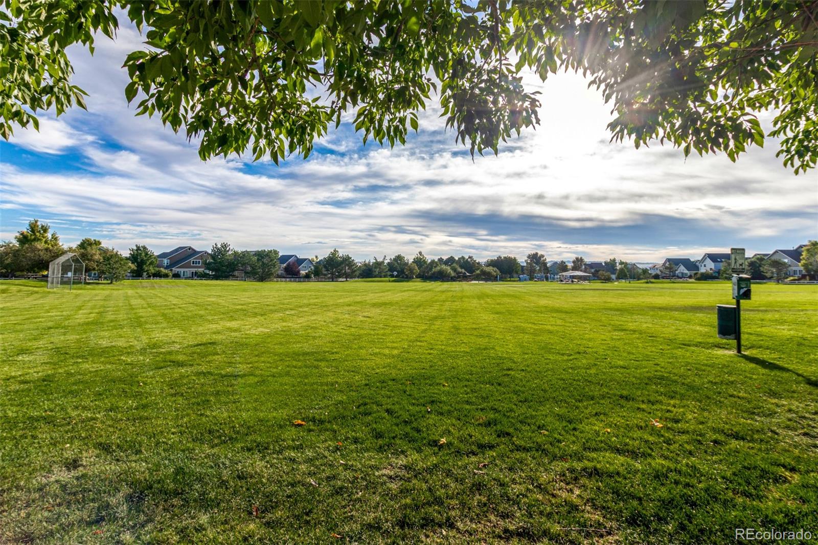 8463 Bed Straw Street Parker CO 80134