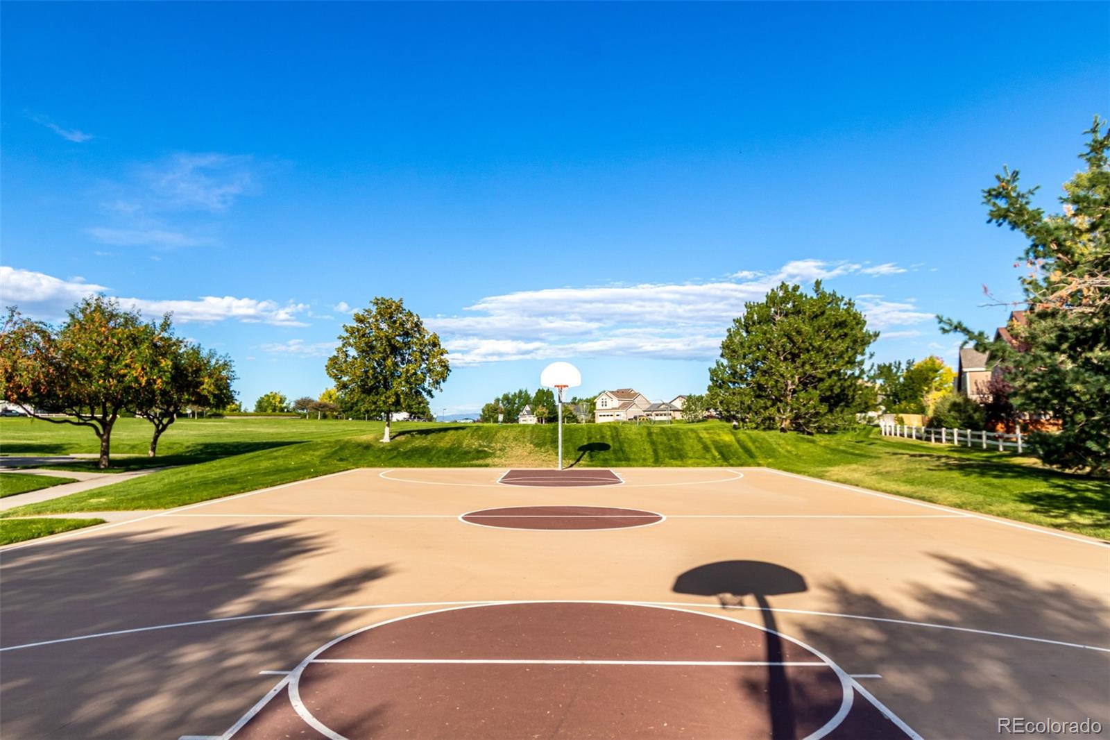 8463 Bed Straw Street Parker CO 80134