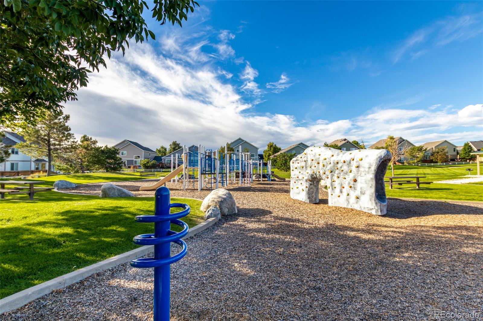 8463 Bed Straw Street Parker CO 80134