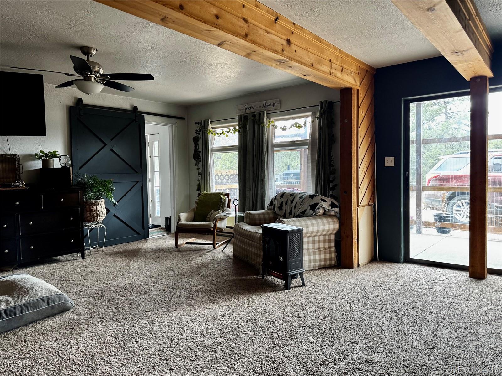 763 17th Trail Cotopaxi CO 81223