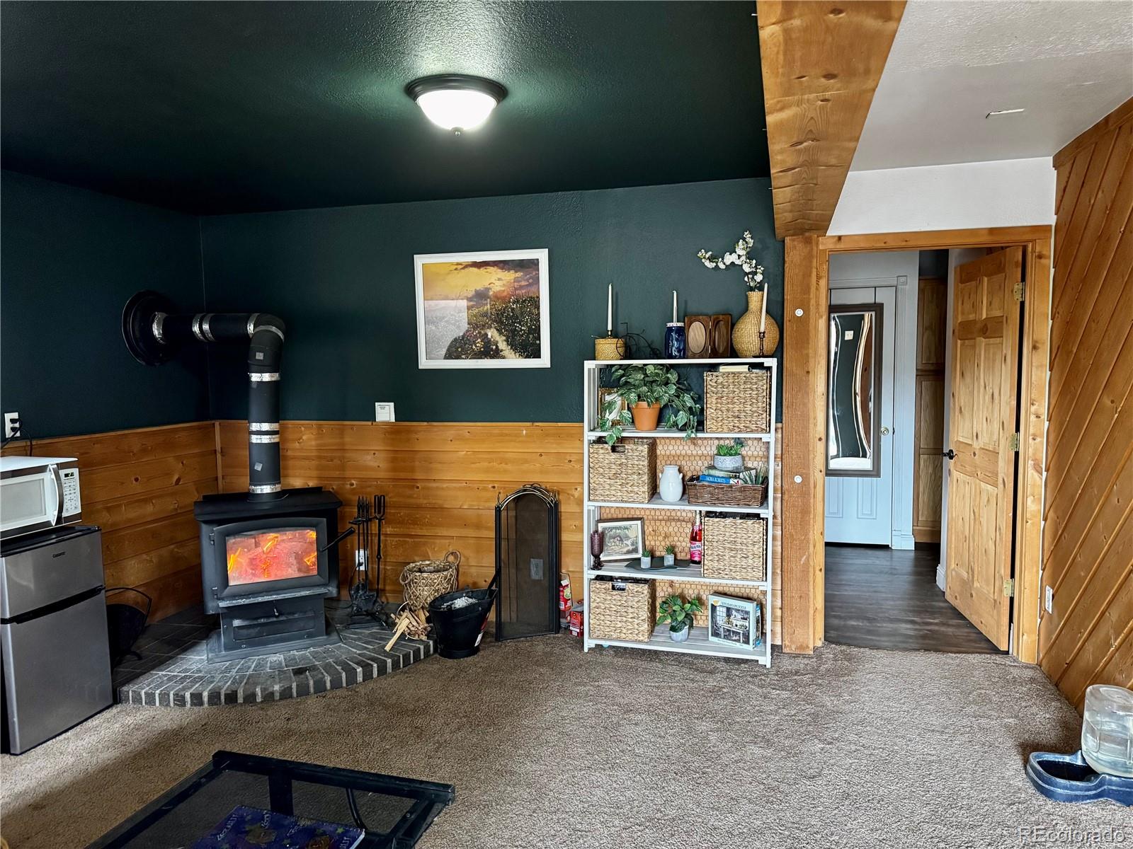 763 17th Trail Cotopaxi CO 81223