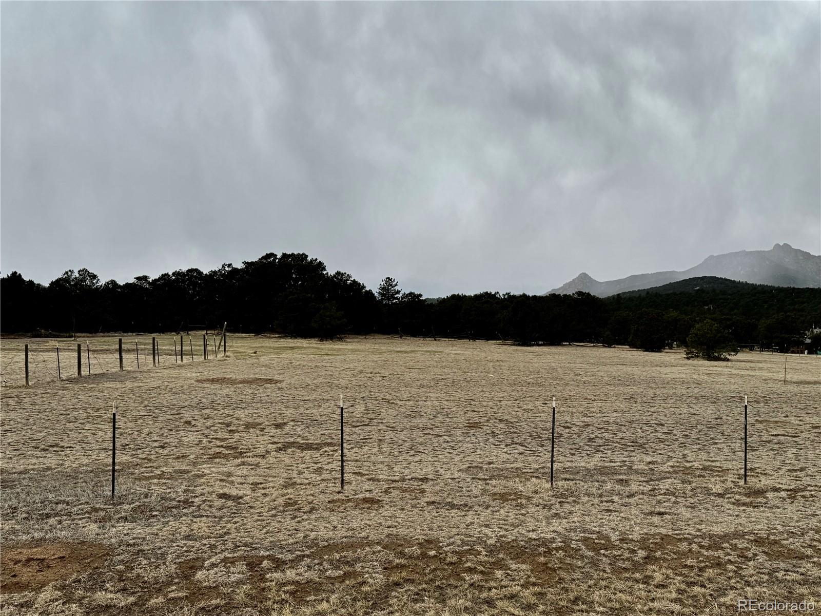 763 17th Trail Cotopaxi CO 81223