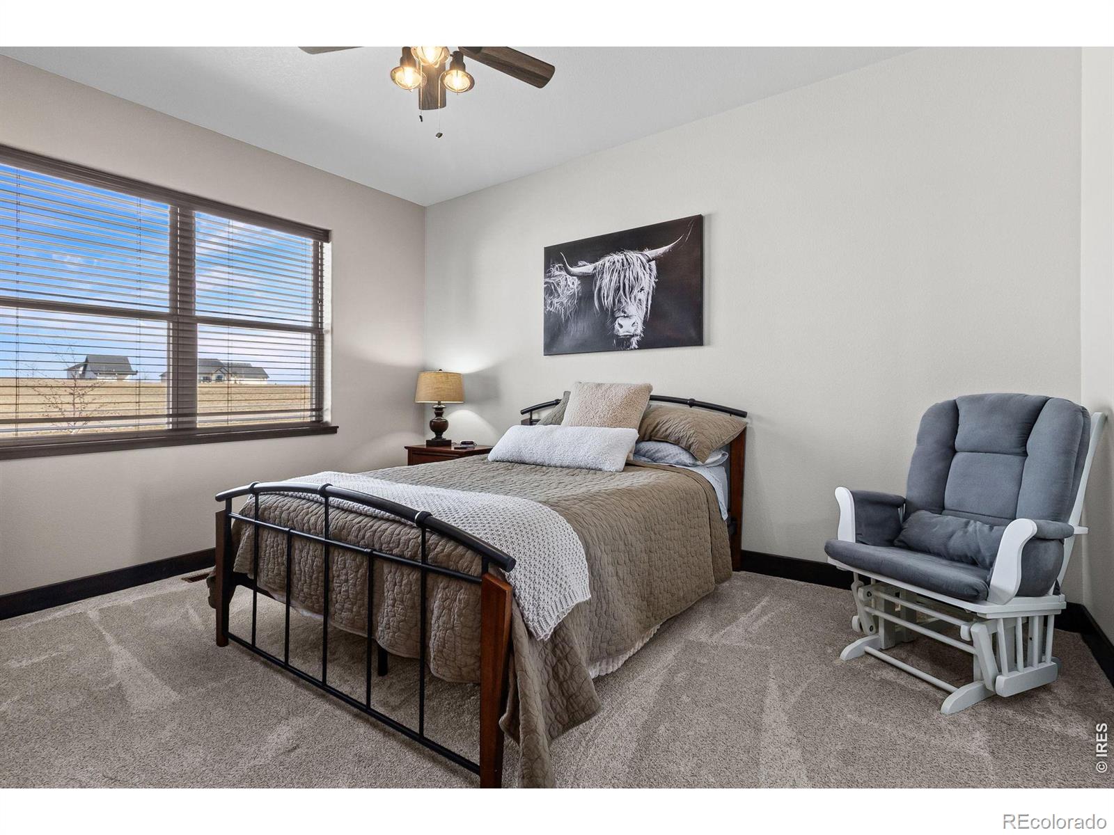 5821 Dakota Court Wellington CO 80549
