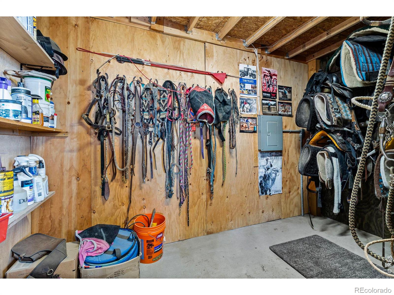5821 Dakota Court Wellington CO 80549