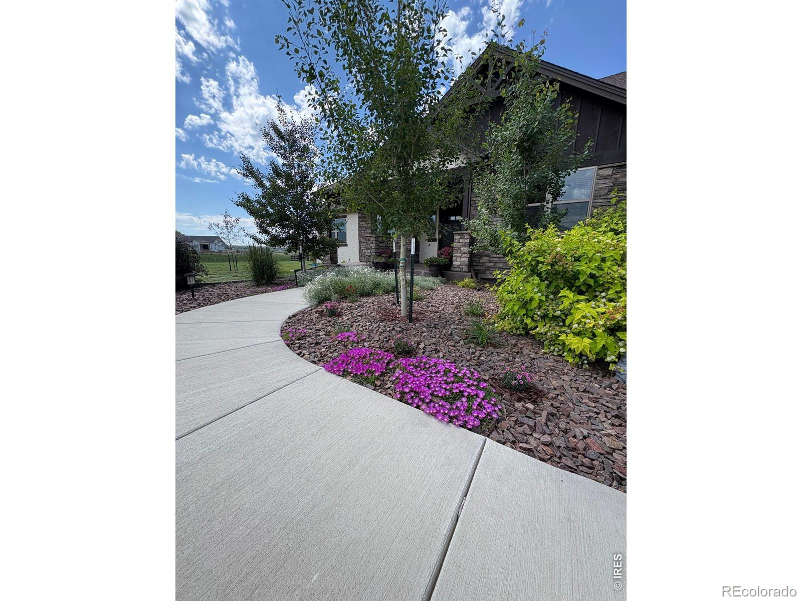 5821 Dakota Court Wellington CO 80549