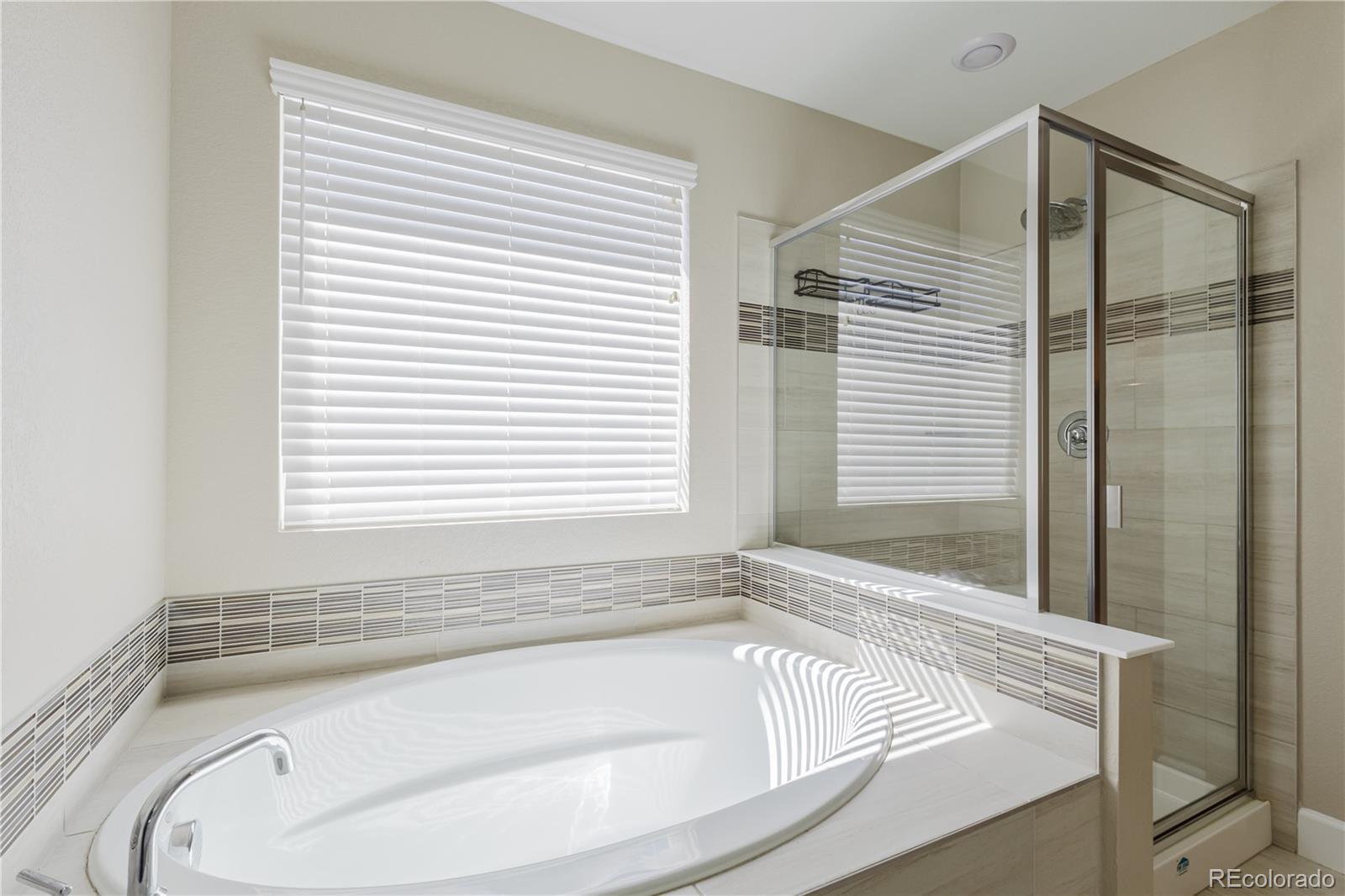 378 Silver Rock Trail Castle Rock CO 80104