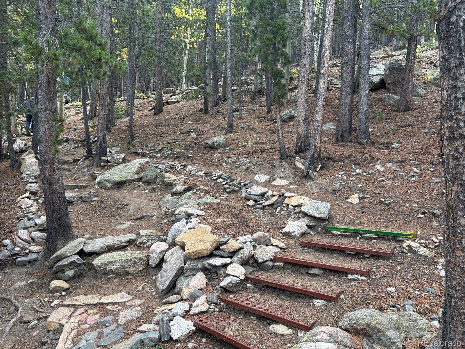 3504 Hidden Wilderness Road Idaho Springs CO 80439