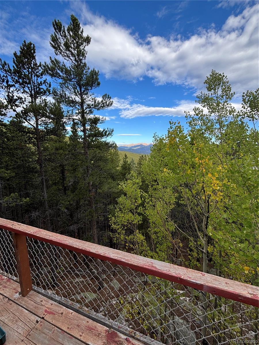 3504 Hidden Wilderness Road Idaho Springs CO 80439