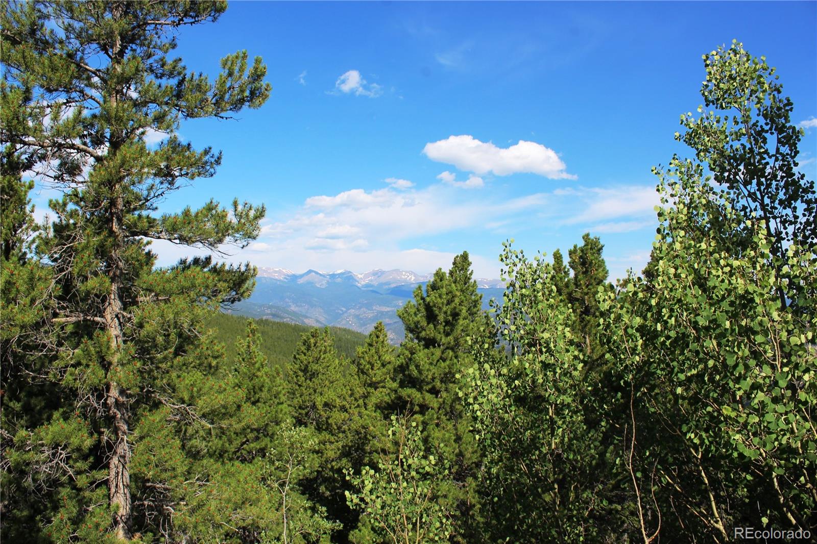 3504 Hidden Wilderness Road Idaho Springs CO 80439
