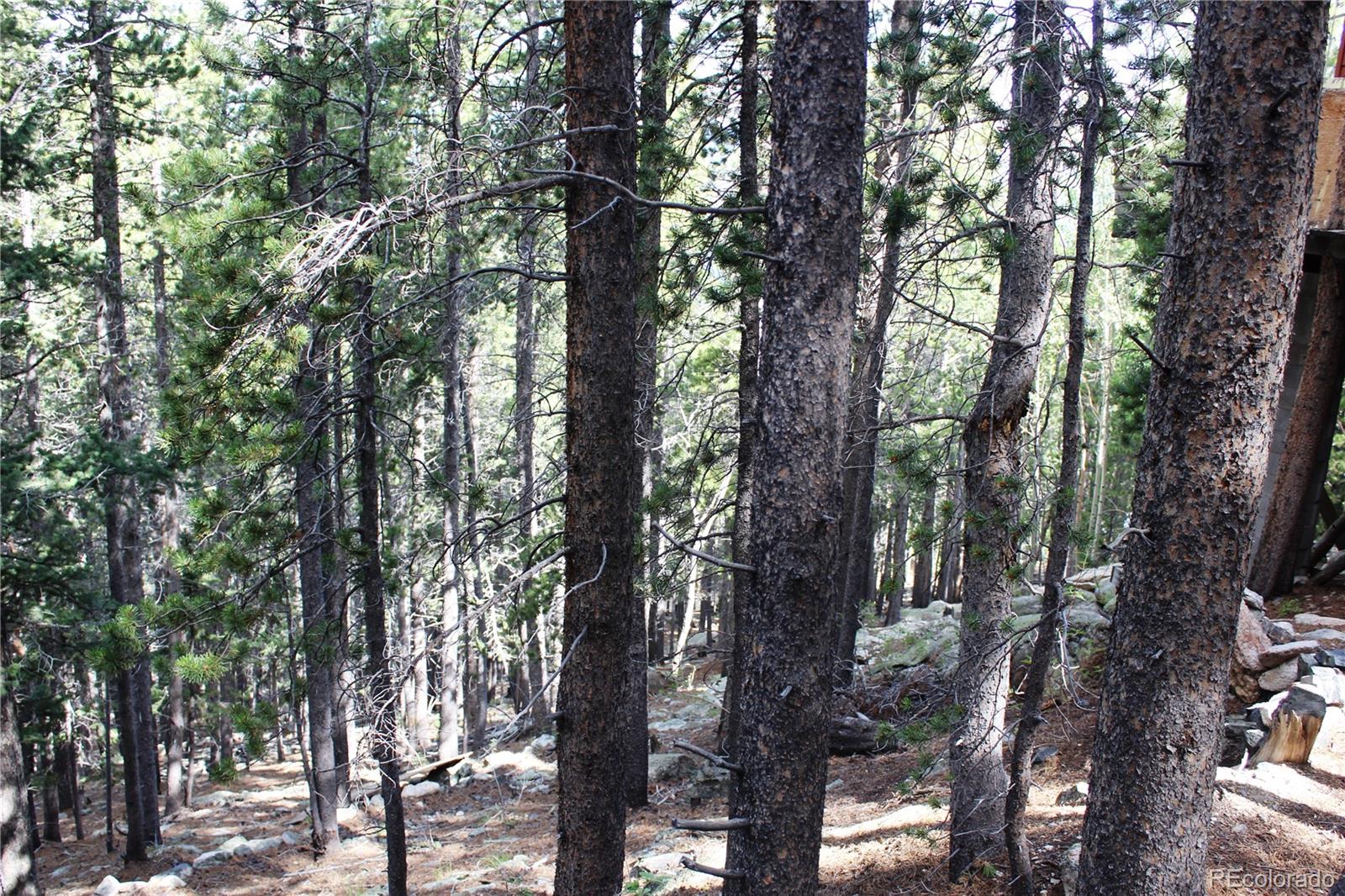 3504 Hidden Wilderness Road Idaho Springs CO 80439