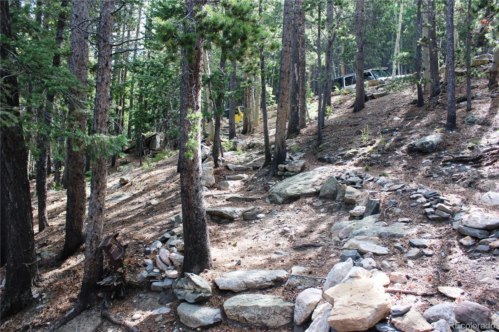 3504 Hidden Wilderness Road Idaho Springs CO 80439