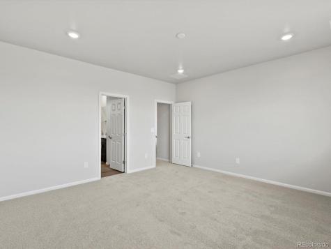 1622 Rumley Creek Drive Windsor CO 80550