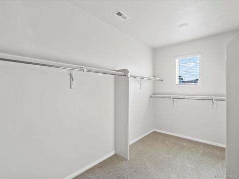 1622 Rumley Creek Drive Windsor CO 80550