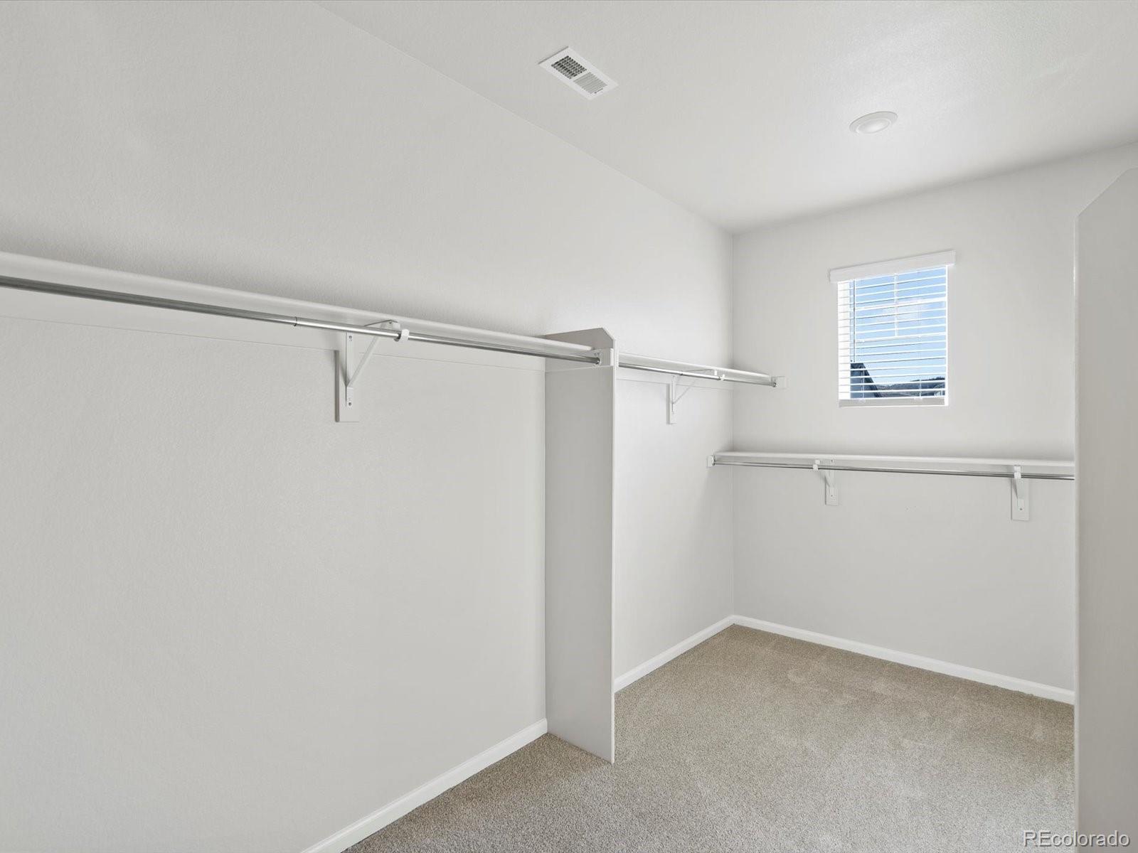1622 Rumley Creek Drive Windsor CO 80550