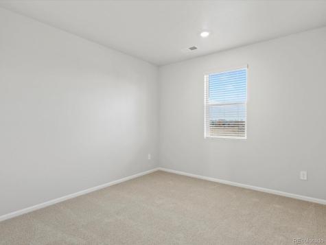 1622 Rumley Creek Drive Windsor CO 80550