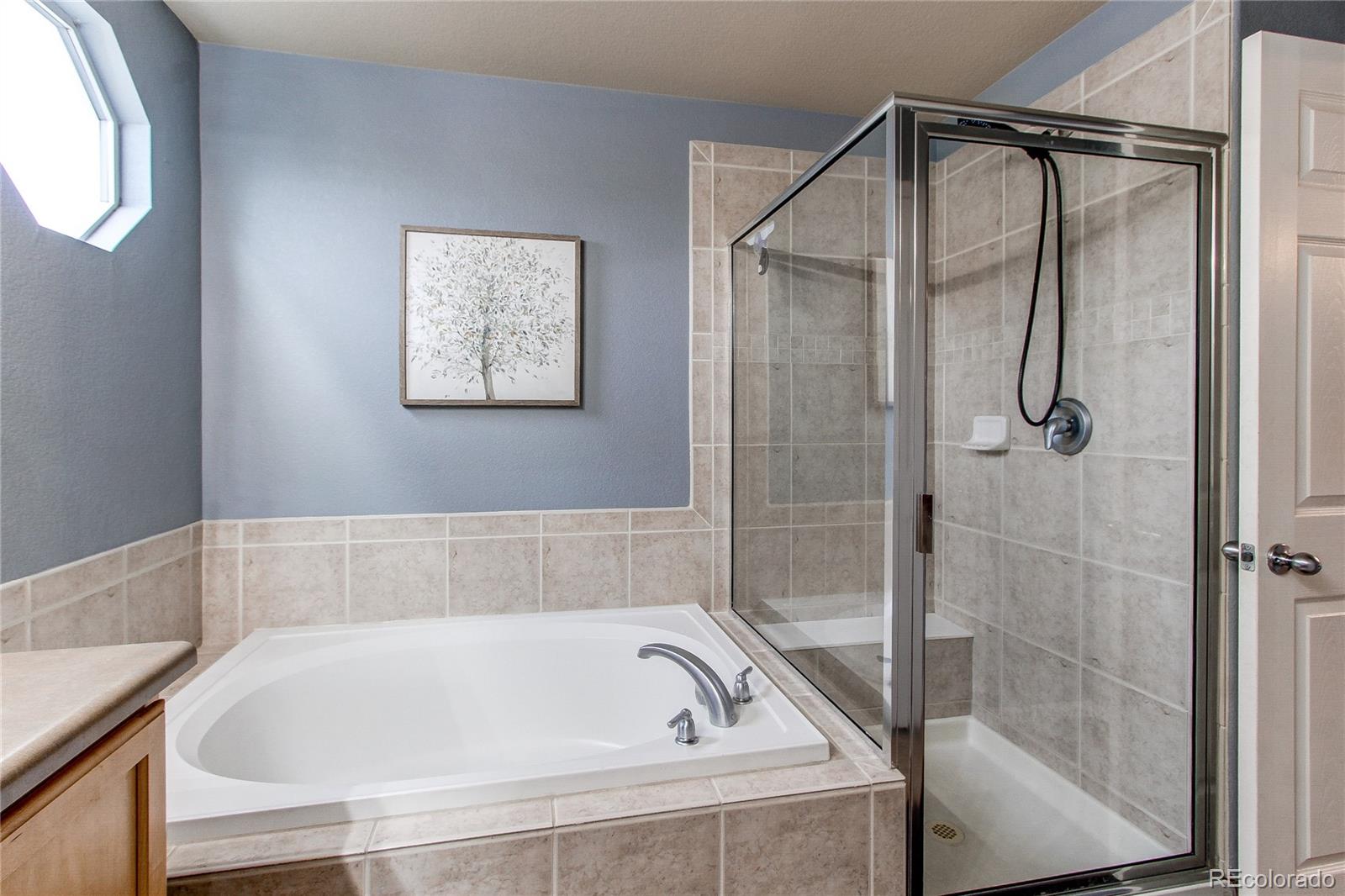 568 Botley Court Windsor CO 80550