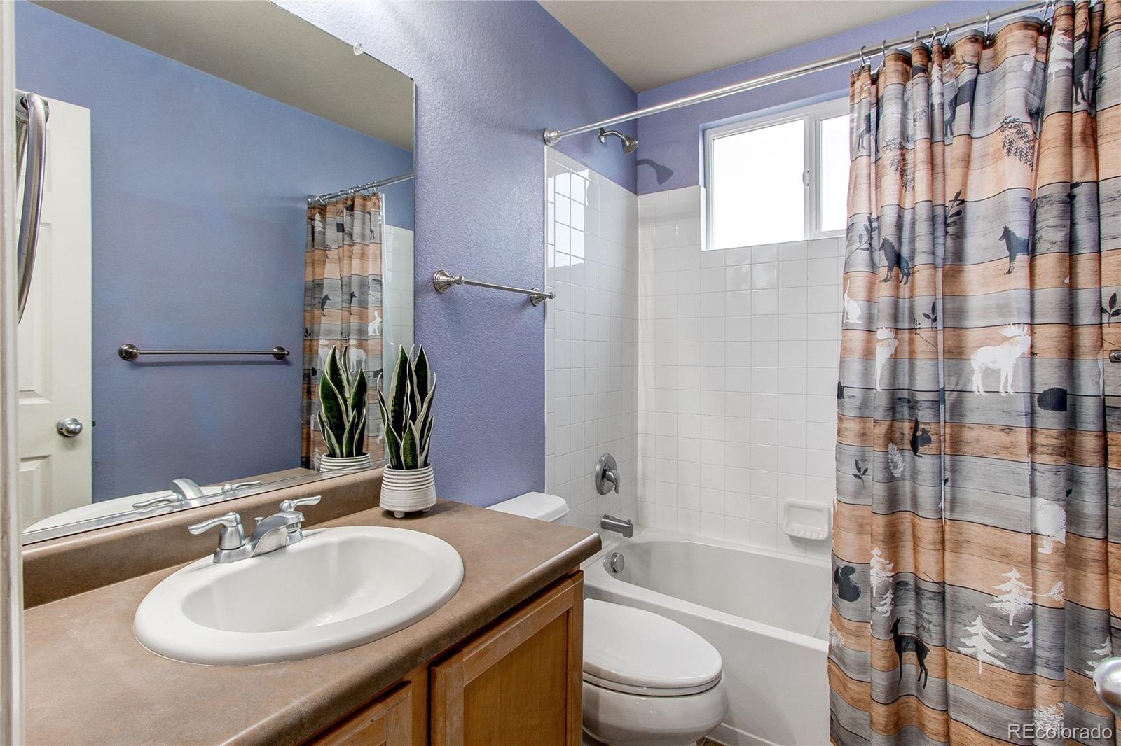 568 Botley Court Windsor CO 80550