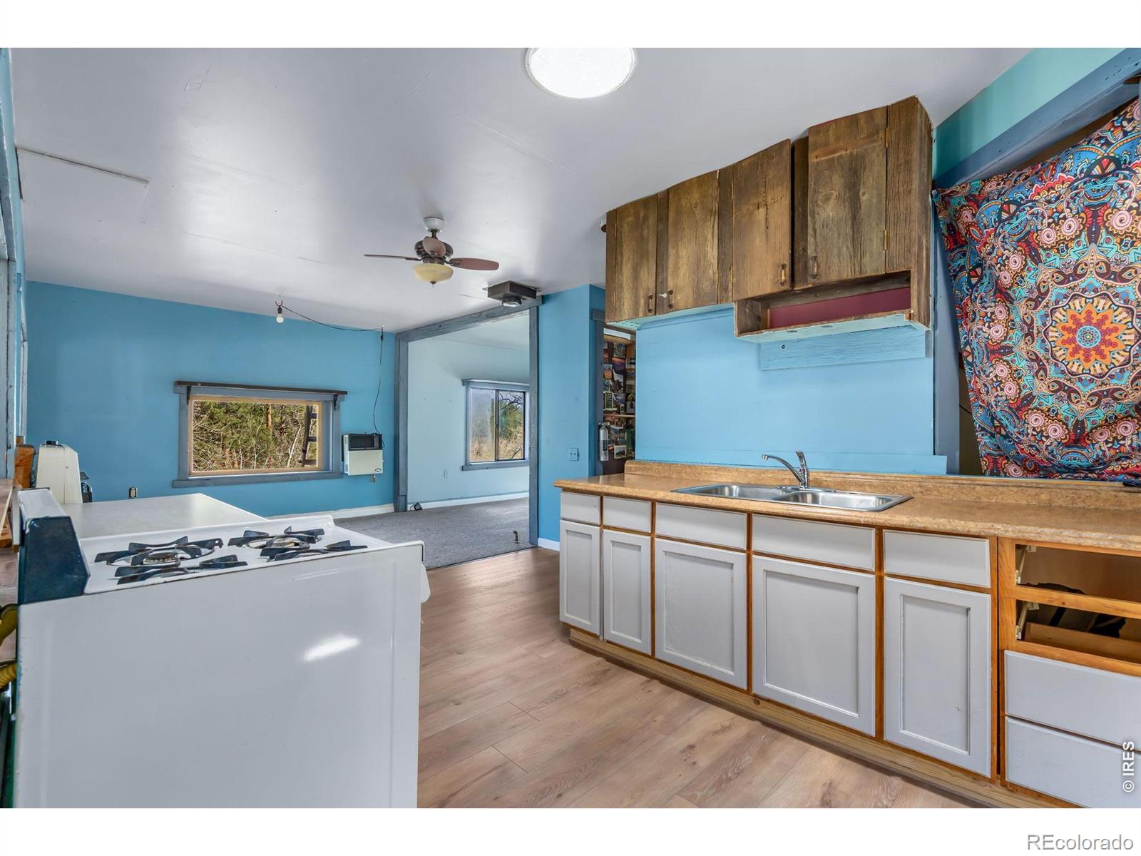 151 Columbine Drive Red Feather Lakes CO 80545