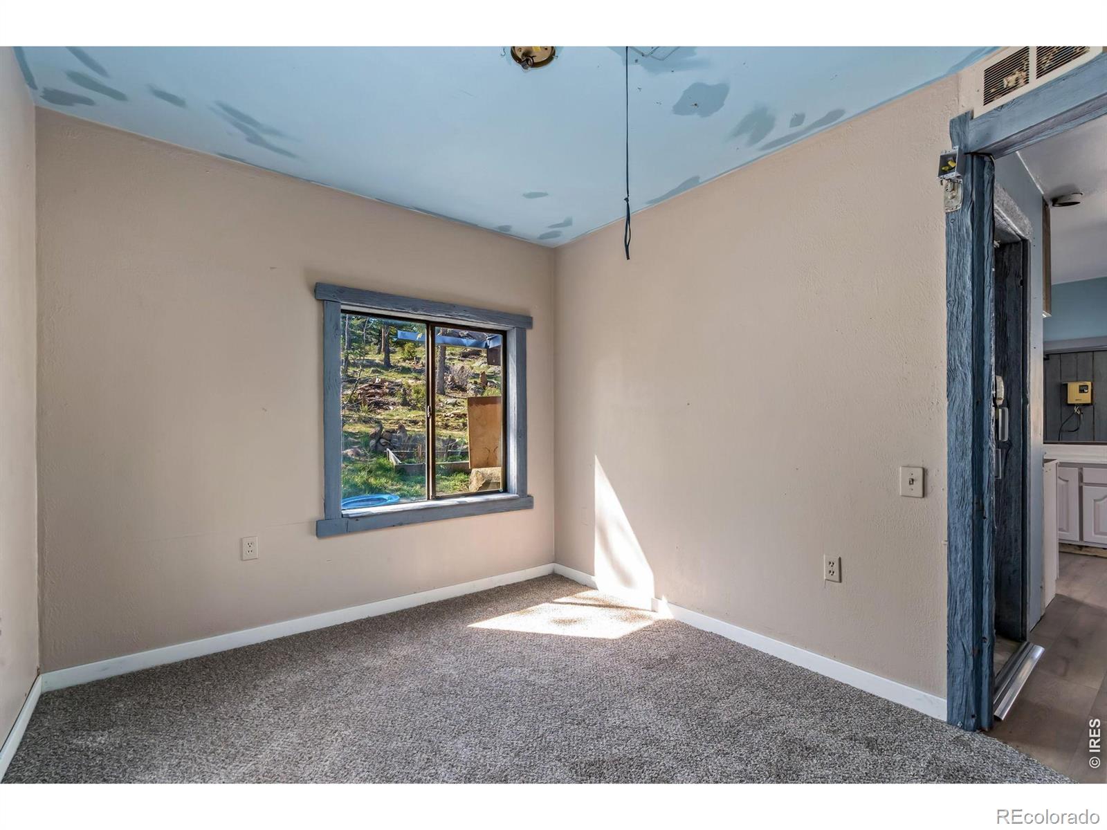 151 Columbine Drive Red Feather Lakes CO 80545