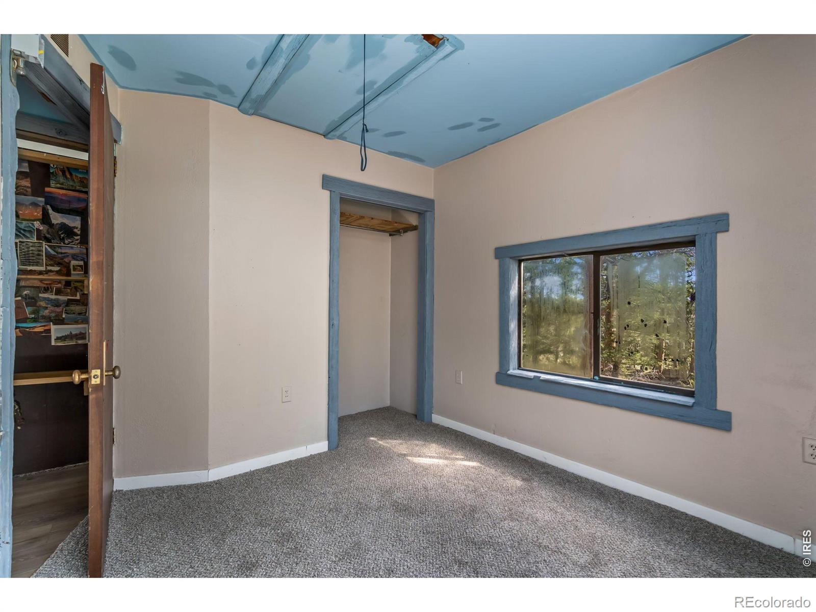 151 Columbine Drive Red Feather Lakes CO 80545