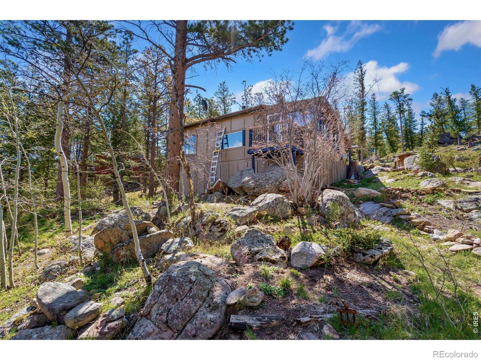 151 Columbine Drive Red Feather Lakes CO 80545