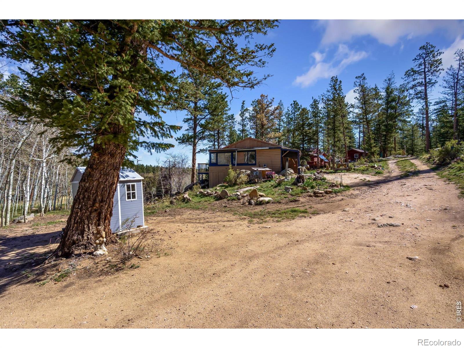 151 Columbine Drive Red Feather Lakes CO 80545