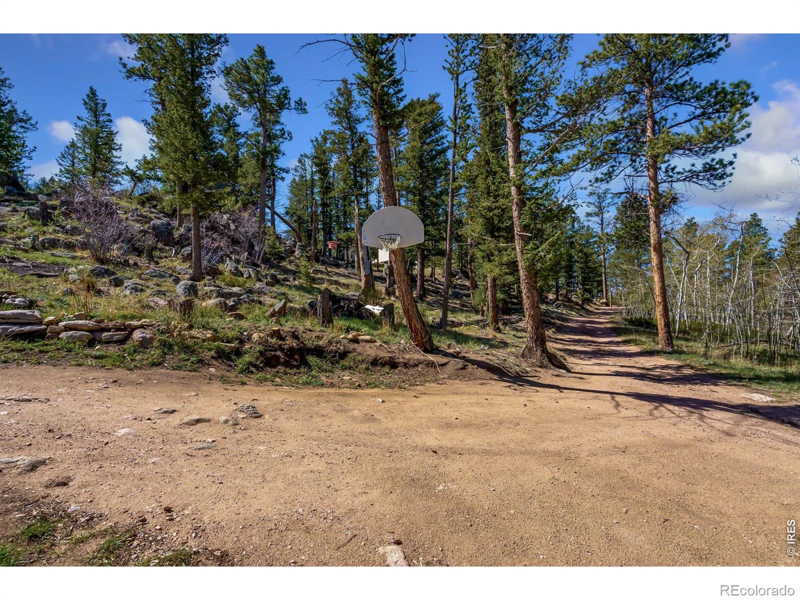 151 Columbine Drive Red Feather Lakes CO 80545