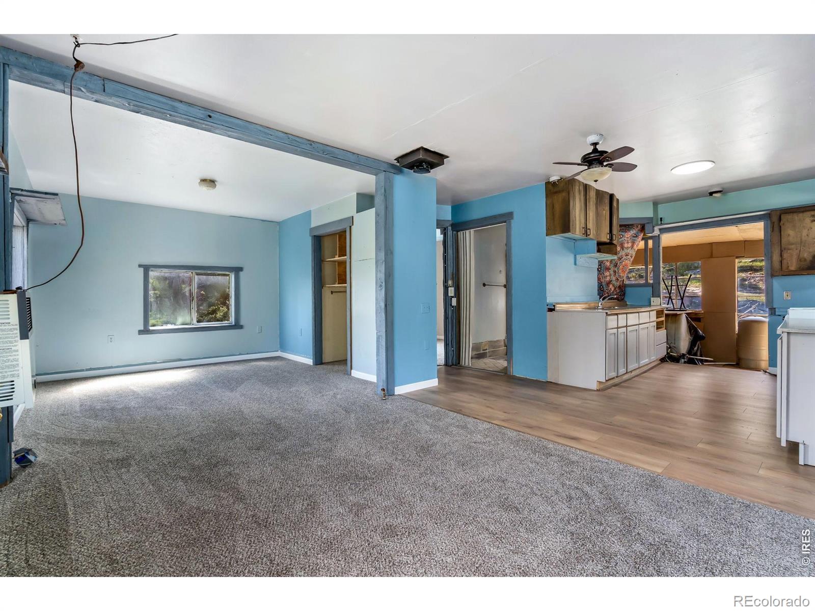 151 Columbine Drive Red Feather Lakes CO 80545