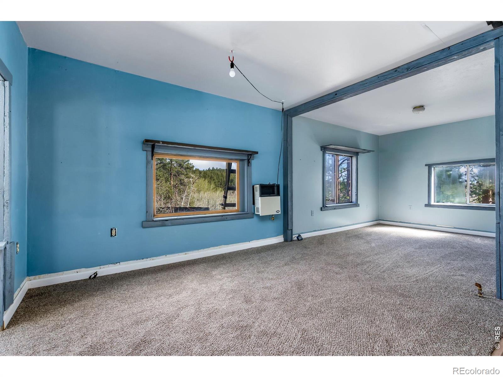 151 Columbine Drive Red Feather Lakes CO 80545