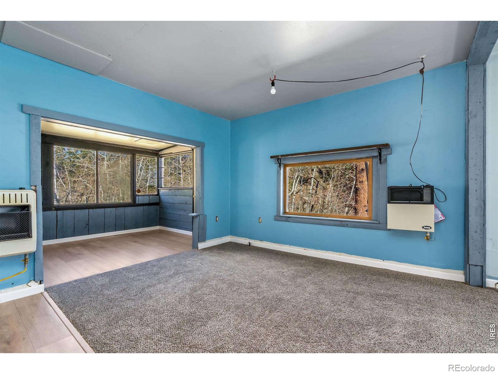 151 Columbine Drive Red Feather Lakes CO 80545