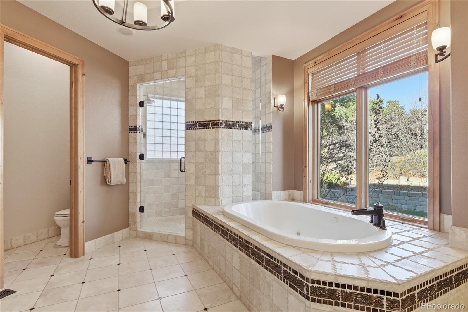 2587 Black Pine Drive Castle Rock CO 80104
