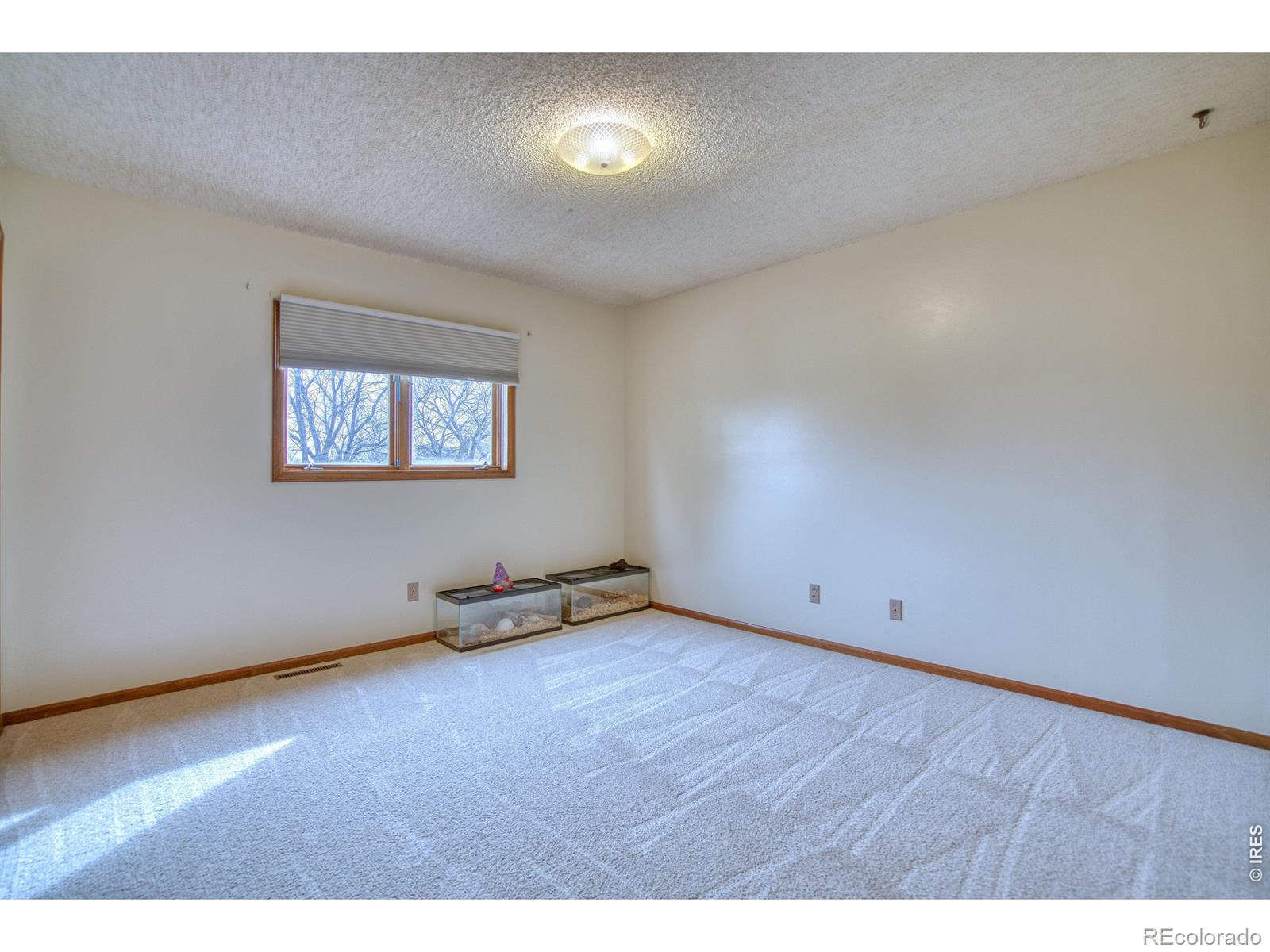 1640 Juniper Street Longmont CO 80501